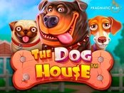 The Dog House – Pragmatic Play, darmowe spiny z mnożnikami